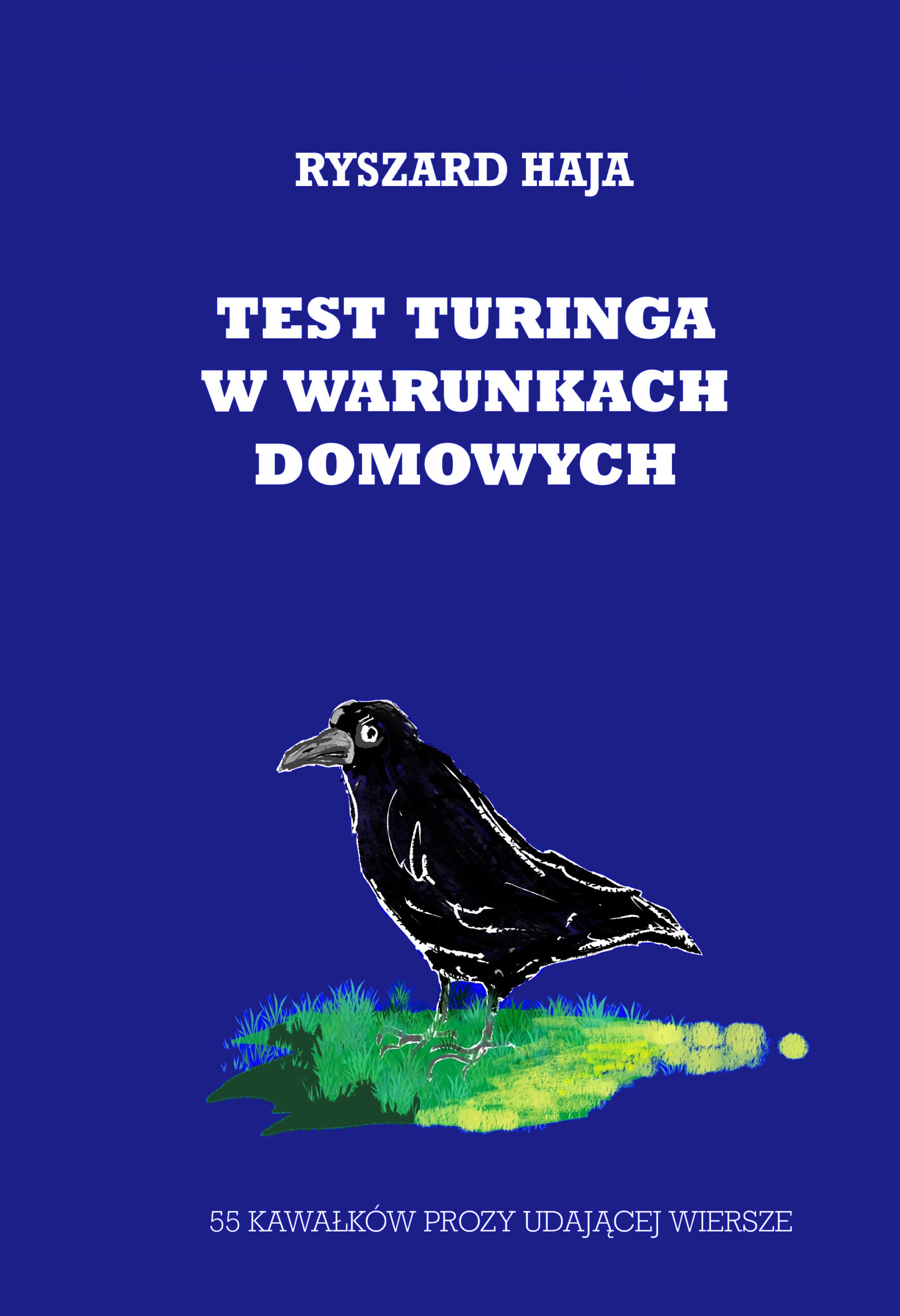 Okładka — Test Turinga w warunkach domowych
